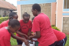 CBC-Students-undertaking-CSL-Projects-2