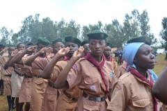 Scouts