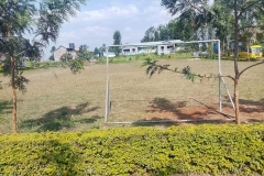 Sports-Field