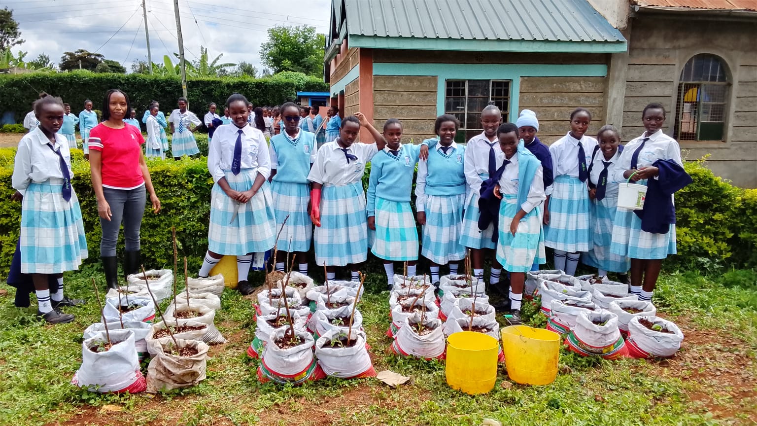 Agriculture project