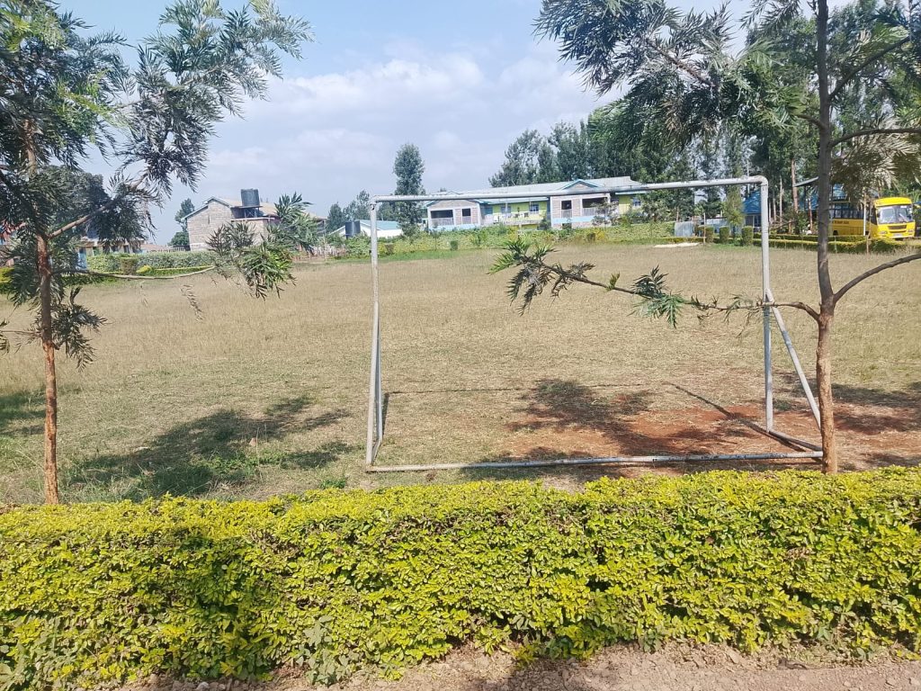 Sports Field